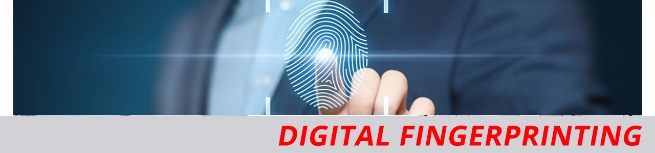 Digital Fingerprinting Mail Boxes Times   Fingerprint Header Img 2 